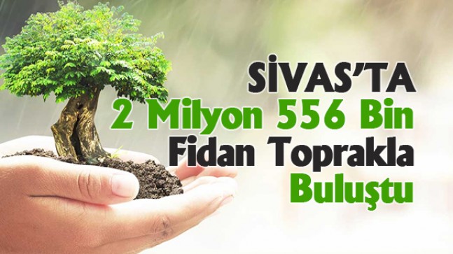 Sivas’ta 2 Milyon 556 Bin Fidan Toprakla Buluştu